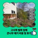 위례약수 | 고사목 벌목 업체 큰나무 제거 비용 및 후기