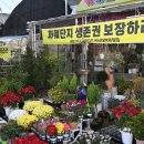 석대 국제신문