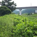 송정국도쉼터 이미지