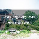 산넘어꽃향기