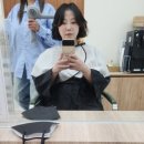 풀로진 이미지