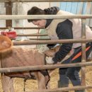 석우농장 이미지