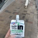 구룡체육관 | Day 4,5 홍콩 여행 | 구룡공원 플라밍고 / 홍콩 디즈니랜드 / 어트랙션 추천