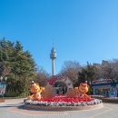 할리스커피 대구이월드점 | 대구 겨울 여행 이월드 눈썰매장 먹거리 포토존