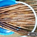 자연애 민박 이미지