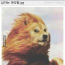 남자는머리빨 - 아산시 | 남자는머리빨