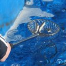 팔딱팔딱 이미지