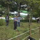 광남1동-9 이미지