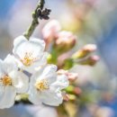 개화부동산공인중개사사무소 이미지