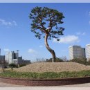 샘머리공원 이미지