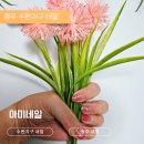아미네일 | 광주 수완지구 네일 꼼꼼하고 예쁜 아미네일 후기