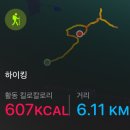 청계산 공영주차장 | 서울 근교 산행 추천, 청계산 이수봉 등산 루트 &amp; 후기