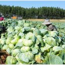 풍요농장 이미지