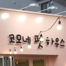 코모네펫하우스 네이버블로그