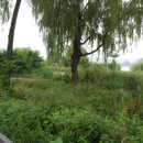 한강공원 난지캠핑장 이미지