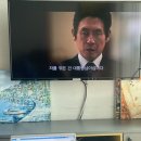 우미탕 이미지