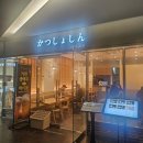 강남 돈카츠 맛집 ) 카츠쇼신 강남점, 점심·저녁 모두 추천! 미슐랭 셰프의 프리미엄 돈까스 솔직후기
