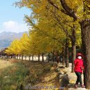 문경새재 도립공원 이미지