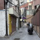 섬세 | 부산 동래 왁싱 후기, 동래 브라질리언 전문 섬세온 눈썹왁싱 대만족