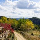 부석사 - 서산시 | 부석사