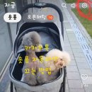 구암동508 이미지