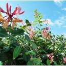 남산추어탕 이미지