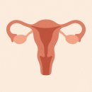 인정병원 | 칸디다 질염 증상, 원인, 치료, 인정병원 진료 후기