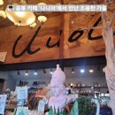 카페나니아 | ⭐ 음봉 아이와 가볼만한 곳｜카페 나니아 야외테라스 & 게코도마뱀샵 힐링코스 후기