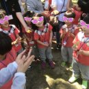 송수초등학교병설유치원 이미지