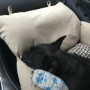 이창훈 동물병원 이미지