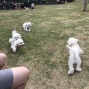 우주파크장 이미지