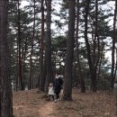 삼선고택 이미지