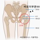 다니피트니스 이미지
