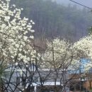 초원염소농장 이미지