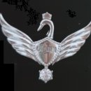 auto master 이미지