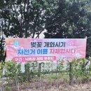 낙동제방 강변동원@ 맞은편 | 2024 부산 벚꽃 개화 실시간 사상 낙동제방벚꽃길 푸드존 운영시간
