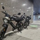 로맨스식당 | 대전/둔산동 썸데이로맨스/뷰맛집 애견동반카페겸식당 후기