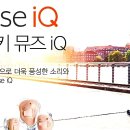 스타키보청기 용인난청센터 네이버블로그