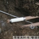 배꼽있는배 농원