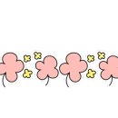 예삐애견 이미지