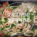천연애왜관점
