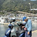 더도울(THE DOUL) | 주간일기35 - 일본 히로시마 워케이션 마무리, 노마드 그 잡채의 일상