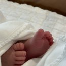 성북14 | 라솜 산후조리원 성북점 내돈내산 추천 후기 경험담👶🍼