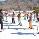 궁항초등학교 이미지