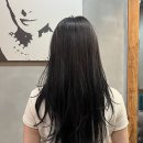 시우헤어 | 분당 머리 잘하는 미용실 정자동 시우헤어 레이어드컷 클리닉 후기