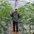 서리지생태공원(2)