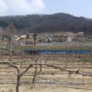 큰터골마을회관 이미지