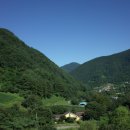 다리안민박 이미지