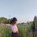 장미공원자전거대여소 이미지