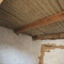 금오약품 이미지